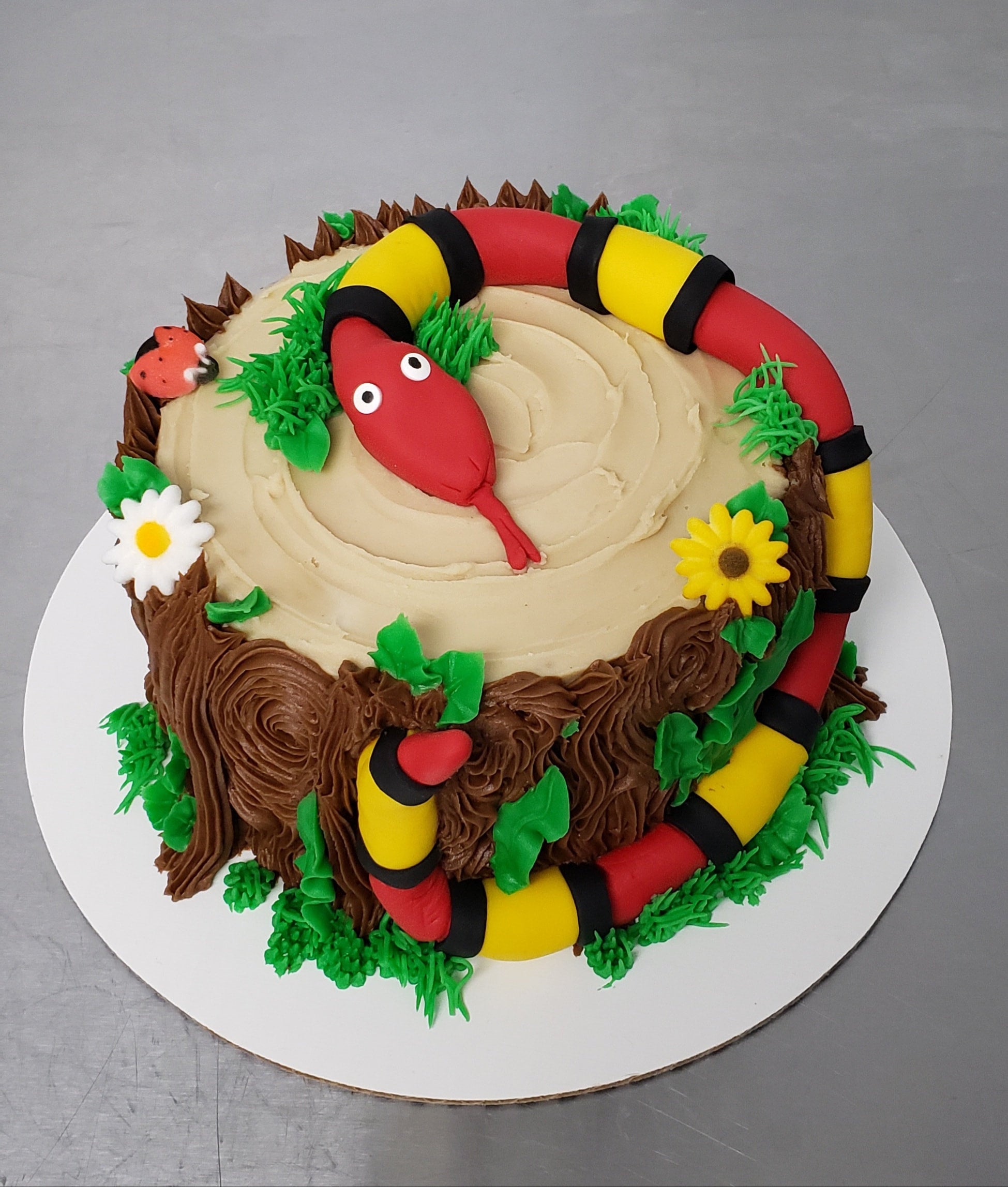 Lizard DIY Birthday Cake Kit | Cake 2 The Rescue